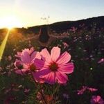 arthur Berlin - @arthurberlin9 - Instagram