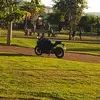 arthu_rbert - @arthurbertishit - TikTok