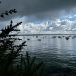 Arthur Berthier - @aberthier7 - Instagram