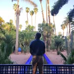 Arthur Bertrand - @art_hurbertrand - Instagram
