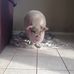 Arthur Berube - Facebook