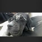 Arthur Bey - @arthur_bey_ - Instagram