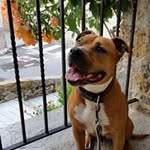 Arthur Bien - @bienarthur - Instagram