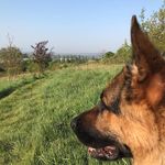 Arthur Biggs - @arfbiggs - Instagram