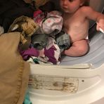 Arthur Bitzer - Facebook