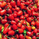 Arthur Brooks - @arthurbrooks958 - Instagram