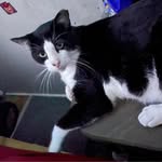 Arthur Brooks - @arthurbrooks988 - Instagram