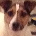 Arthur Brooks - @arthurbrooks5207 - Instagram