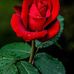 Arthur Browning - Facebook