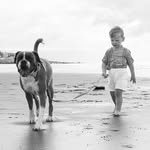 Arthur & Bruno - @babyarthurandboxerbruno - Instagram
