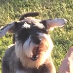 Buttons Arthur - @buttons_td_arthur - Instagram