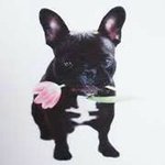 Gabriel Arthur Canton - @gabrielarthurcanton - Instagram