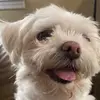 Arthur Carl - @arthur.carl7 - TikTok