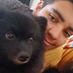 Arthur Casagrande - @arthurpc123 - Instagram