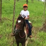Arthur Lacerda Gomes - @gomesarthurlacerda - Instagram