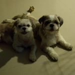 Arthur Choy - @choy_kein_loon - Instagram