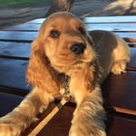Arthur.claret - @arthur.claret - Instagram