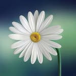 Arthur clarkson - @loveandotherdrugs25 - Instagram
