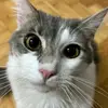 arthur claro - @arthur.claro3 - TikTok