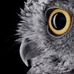 Arthur Cobb - Facebook