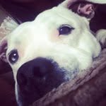 Arthur Coble - @wedowlan - Instagram
