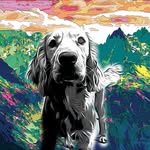 Arthur - @arthur.the.working.cocker - Instagram