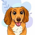 Arthur Cocker Spaniel - Facebook