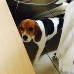 Arthur De Cocker - @arthur.de.cocker - Instagram