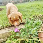 @arthurcockerbelton - Instagram