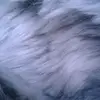 arthurdjcoles - @arthxr2007 - TikTok