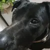 Arthur Collard - @arthur.collard - TikTok