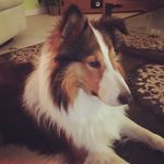 Arthur Colley - @arthur_colley - Instagram