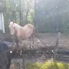 Arthur Coston - @arthurcoston111 - TikTok