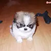 Art Colunga - @art.colunga - TikTok