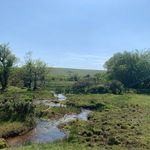Finlay Arthur Comber - @finlayarthurcomber - Instagram