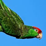 @arthur_conely1775 - Instagram