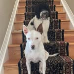 Arthur L Cone - @arthurcone - Instagram