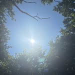 Arthur cook - @arthurcook01 - Instagram