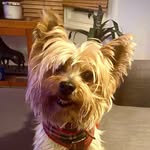 Arthur Copeland - @lil.king.arth - Instagram