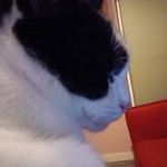 Arthur Dawson - @arthurdawson264 - Instagram