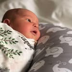 Arthur Veer Denham - @arthurveer - Instagram