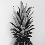 Arthur  Fondeville - @arthurfondeville - Instagram