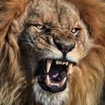 Arthur Devlins - @arthurdevlins - Instagram