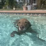 Barbara Arthur-Devlin - @bbinfla - Instagram