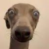 arthurduncan - @arthurduncan - TikTok