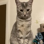 Arthur England - Facebook