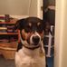 Arthur Fellows - Facebook