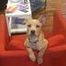 Arthur Fink - Facebook