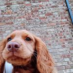 Arthur fitzpatrick - @arthurfitz_22 - Instagram