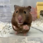 Arthur Fleck - @tyc_d_ - Instagram